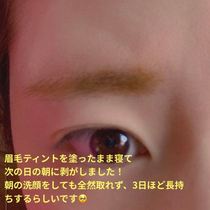 眉ティントSVR/Fujiko/眉ティントを使ったクチコミ(3枚目)