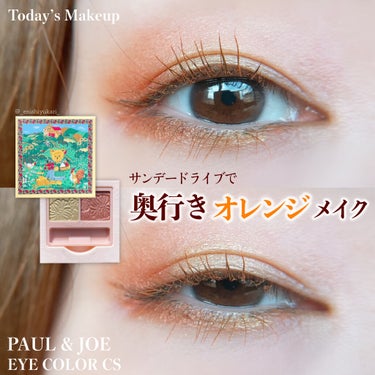 アイカラー CS/PAUL & JOE BEAUTE/アイシャドウパレットを使ったクチコミ（1枚目）