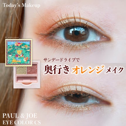 アイカラー CS/PAUL & JOE BEAUTE/アイシャドウパレットを使ったクチコミ(1枚目)