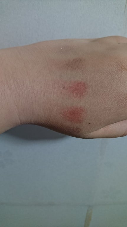 【旧品】パーフェクトスタイリストアイズ/キャンメイク/アイシャドウパレットを使ったクチコミ(2枚目)