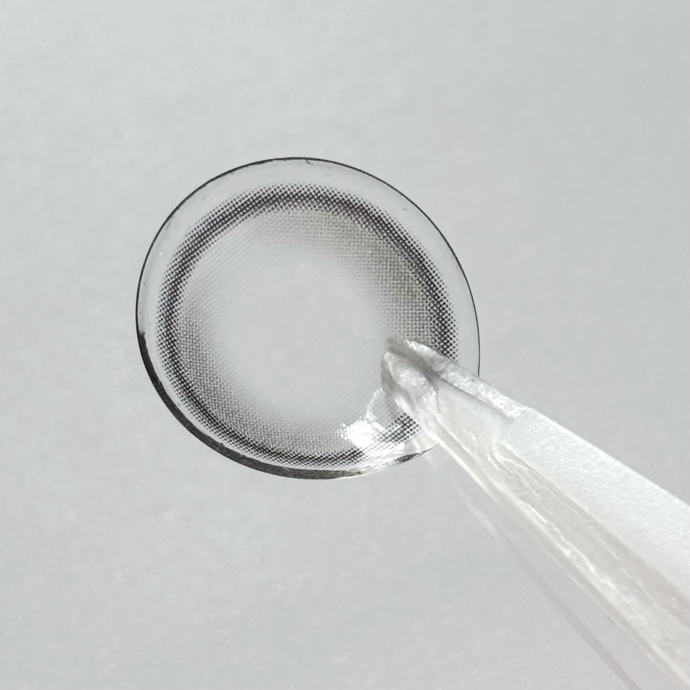 Double Tint 1day/OLENS/カラーコンタクトレンズを使ったクチコミ（2枚目）