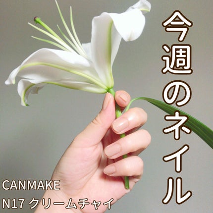 カラフルネイルズ/キャンメイク/マニキュアを使ったクチコミ(1枚目)