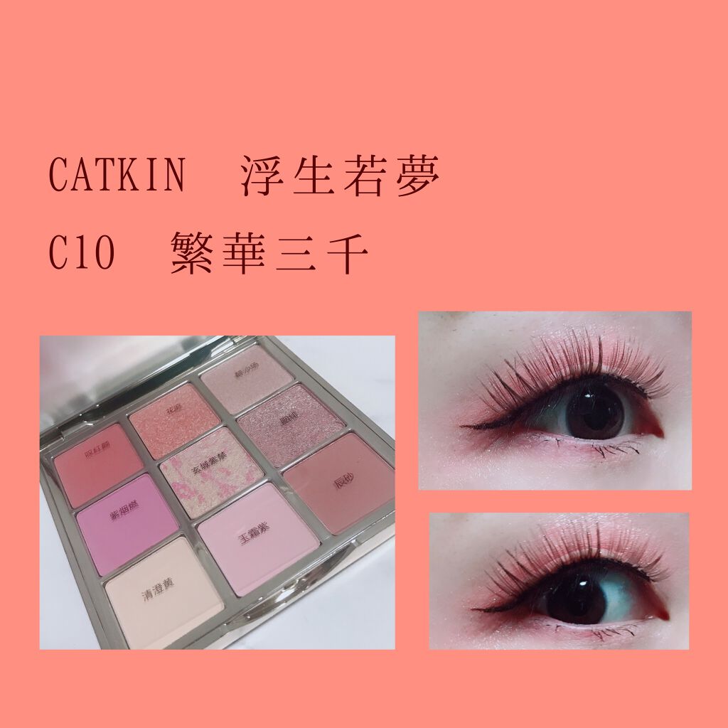 長相思シリーズ 9色アイシャドウパレット/CATKIN/アイシャドウパレットを使ったクチコミ(1枚目)