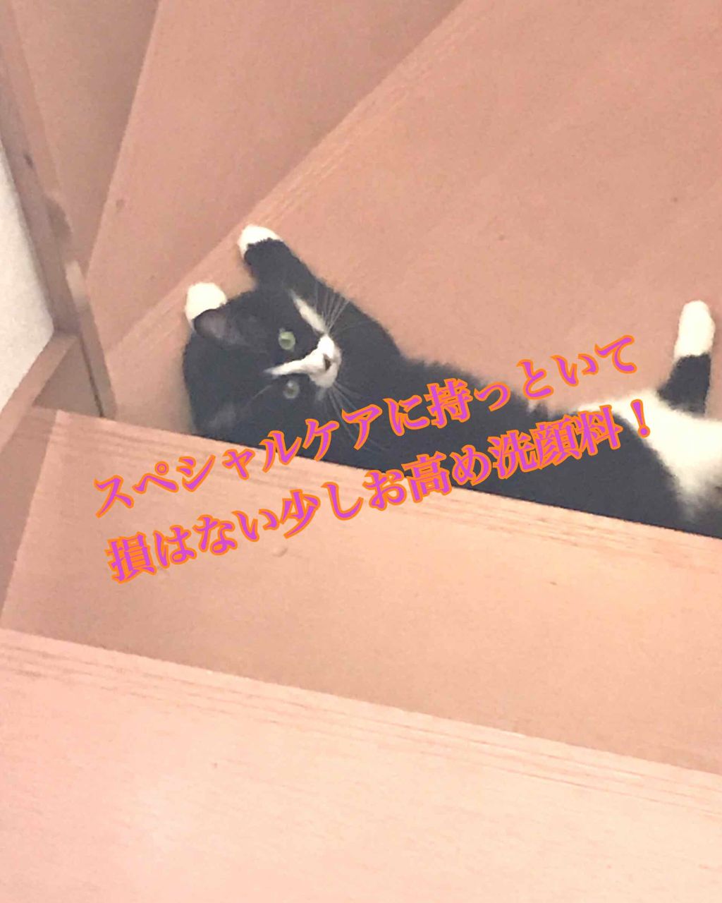 どろ豆乳石鹸 どろあわわ/健康コーポレーション/洗顔フォームを使ったクチコミ（1枚目）