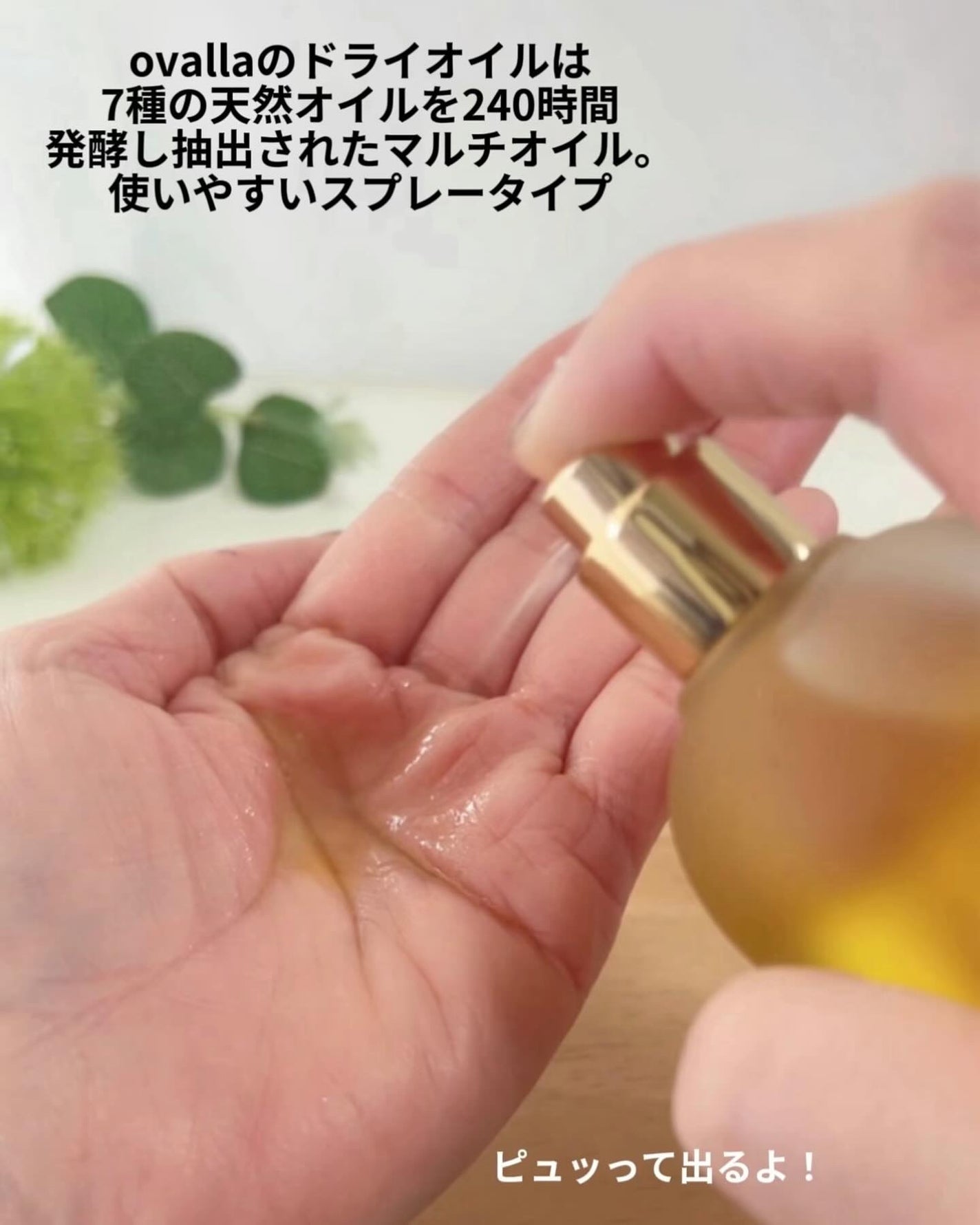 ボタニクB&Nドライオイル/ovalla/フェイスオイルを使ったクチコミ(3枚目)