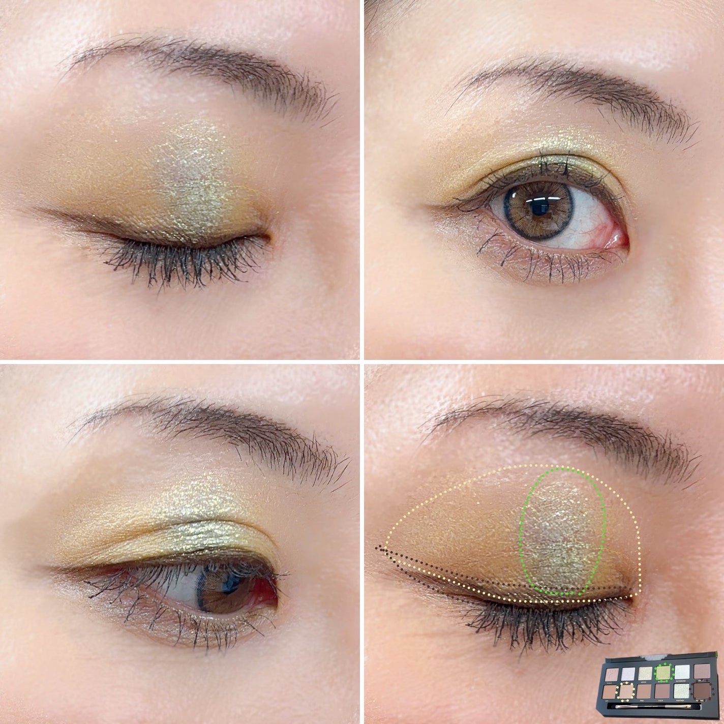 エクスプローラ12色 動物アイシャドウパレット/PERFECT DIARY/アイシャドウパレットを使ったクチコミ(7枚目)