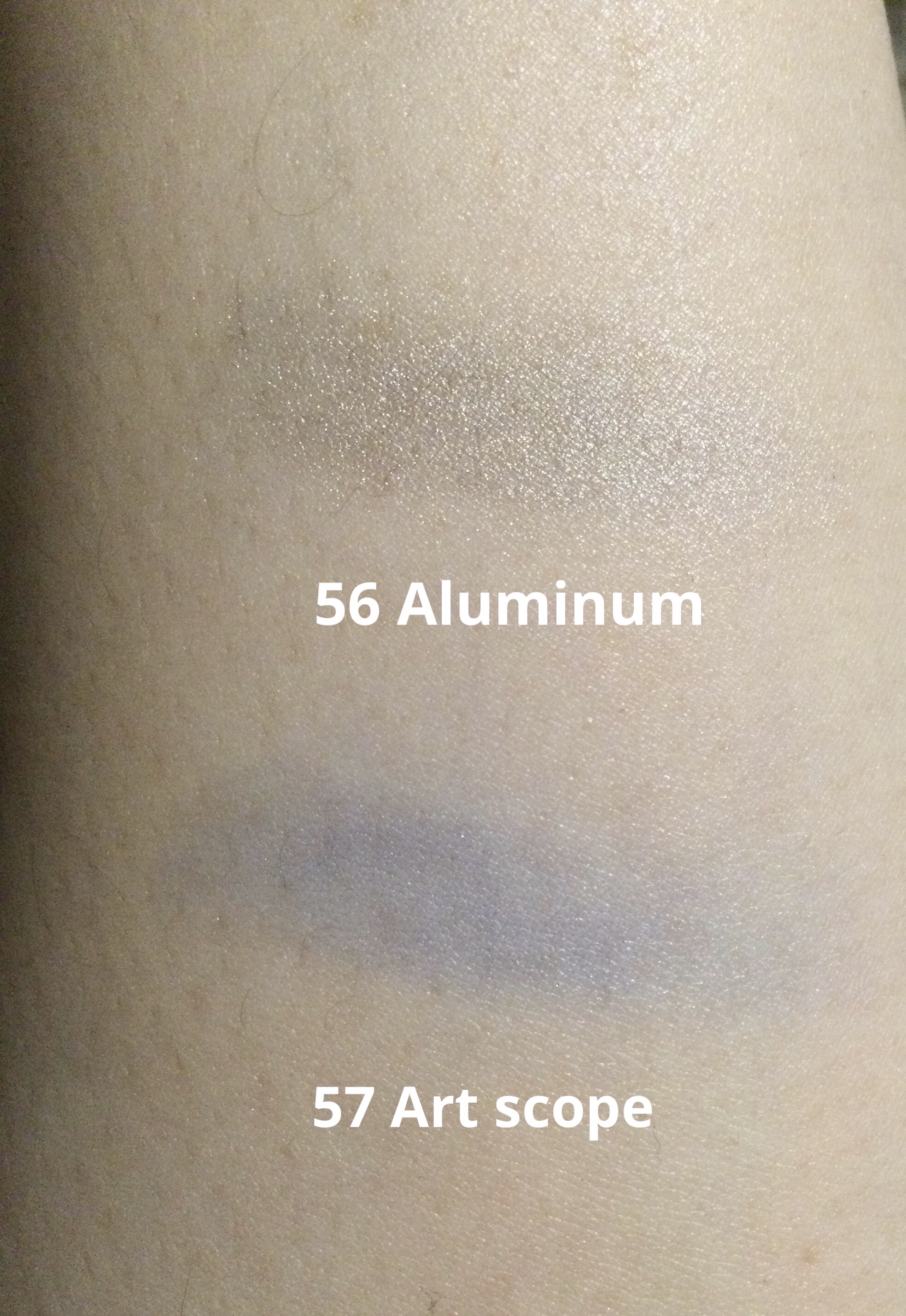 ラズル アイカラー/エレガンス ラズル /単色アイシャドウを使ったクチコミ（2枚目）