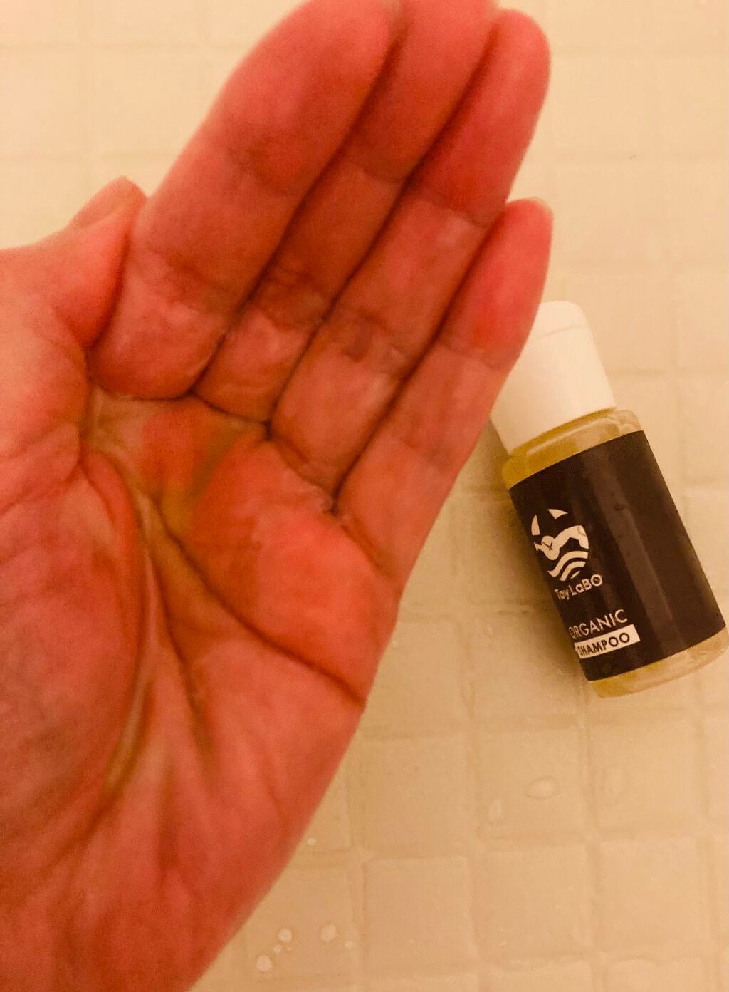 オーガニックシャンプー/オーガニックトリートメント/ToyLaBO/市販シャンプーを使ったクチコミ(2枚目)