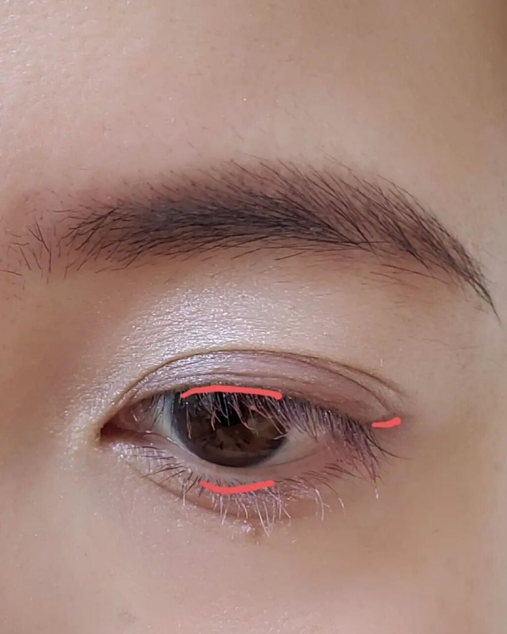 フーミー アイブロウパウダー/WHOMEE/パウダーアイブロウを使ったクチコミ(5枚目)