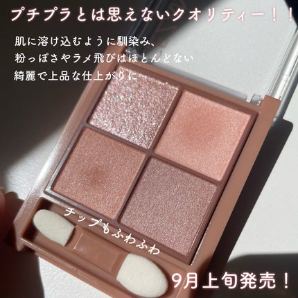 ビタートーンアイシャドウ/CEZANNE/パウダーアイシャドウを使ったクチコミ(5枚目)