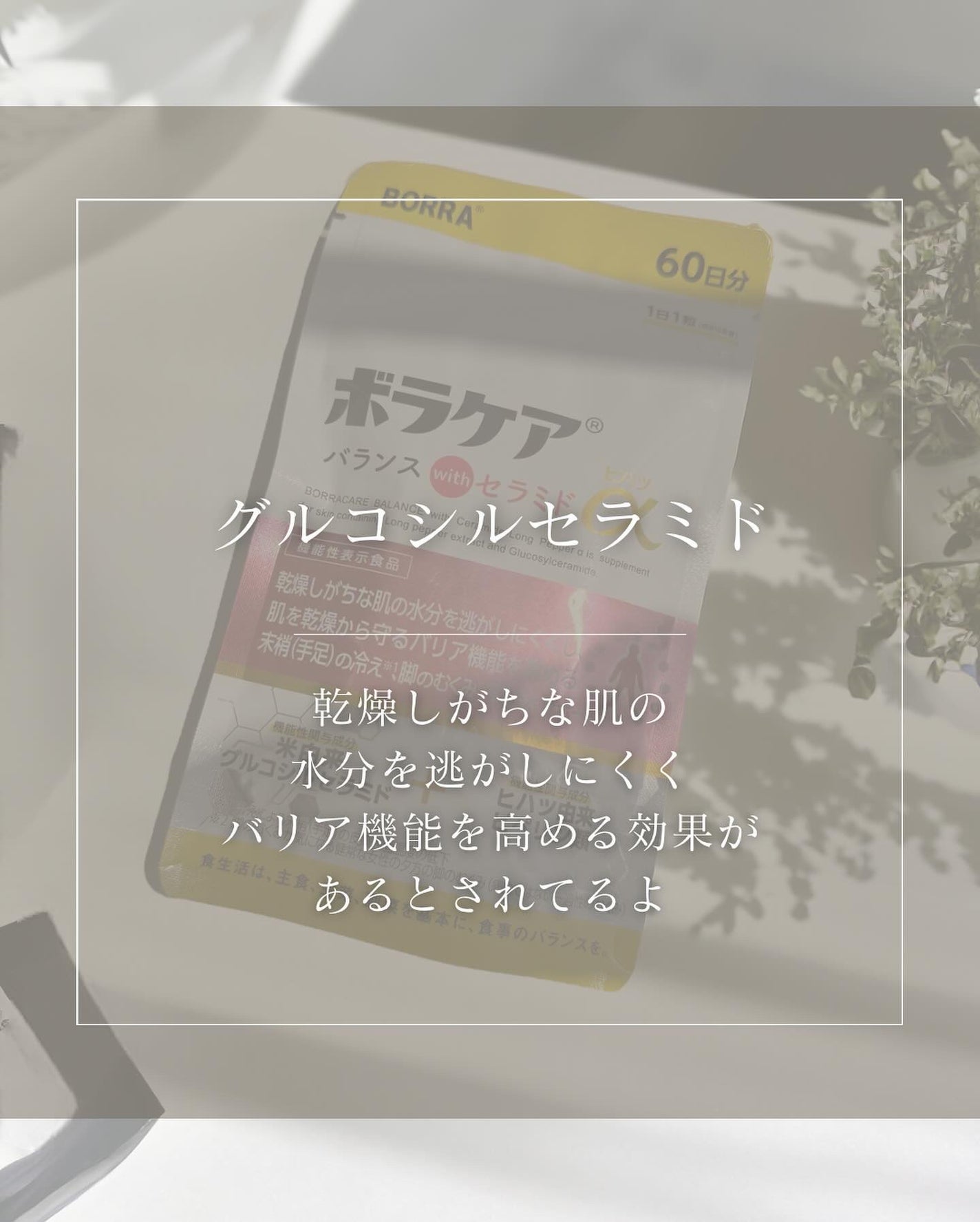 ボラケア バランス with セラミド ヒハツα/天藤製薬/健康サプリメントを使ったクチコミ(4枚目)