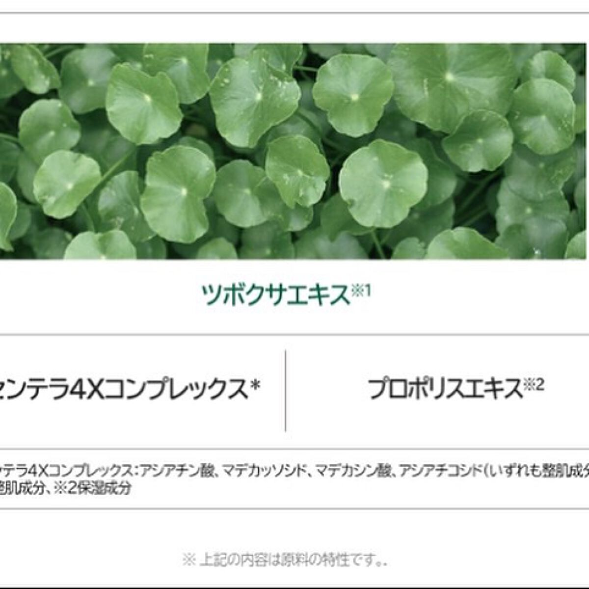 Miwa Kamise on LIPS 「さっぱりだけど、潤いもお約束!🌿VTCICAクリーム🌿保湿性が..」(5枚目)