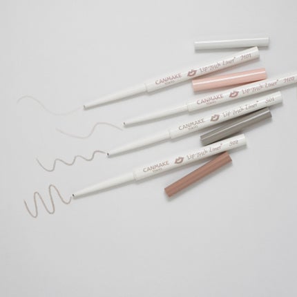 リップトリックライナー/キャンメイク/リップライナーを使ったクチコミ(1枚目)