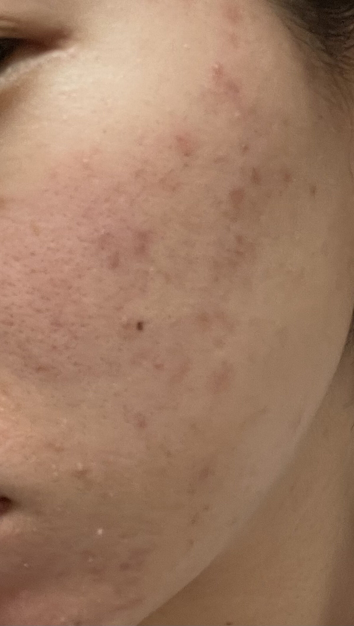 ワフードメイド　宇治抹茶マスク/pdc/シートマスク・パックを使ったクチコミ（2枚目）