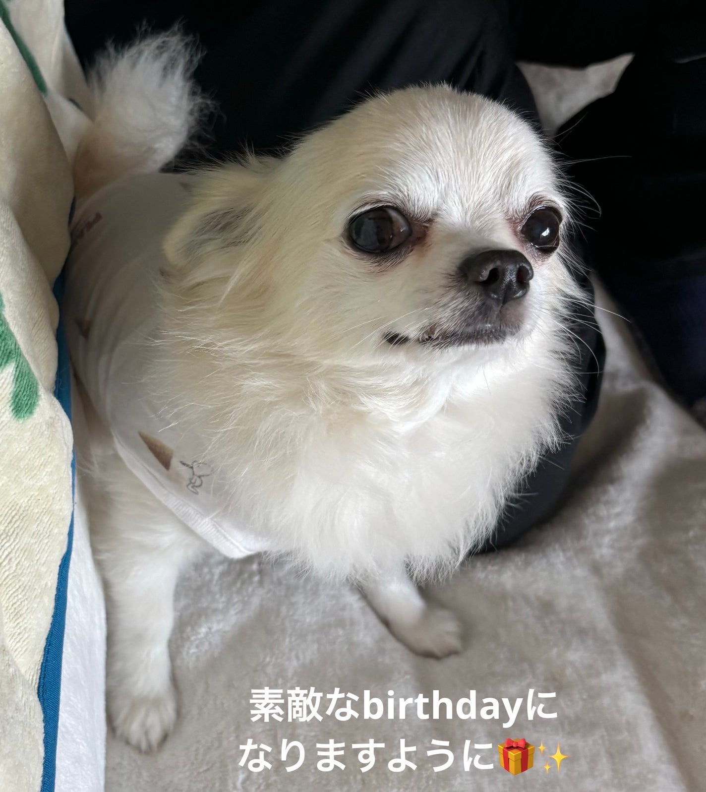 ディオール ヴェルニ/Dior/マニキュアを使ったクチコミ(8枚目)