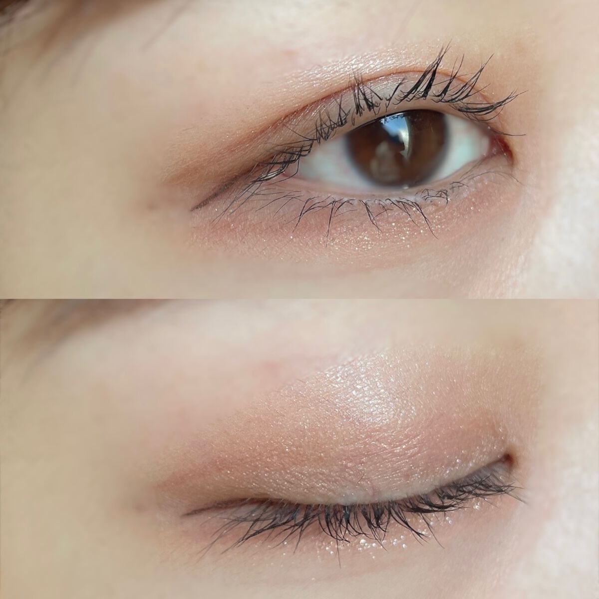 アイカラーレーション スペシャルエディション/LUNASOL/アイシャドウパレットを使ったクチコミ(4枚目)