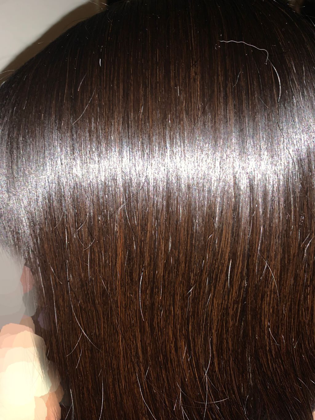 コンパクトスタイラー/TANGLE TEEZER/ヘアブラシを使ったクチコミ(2枚目)