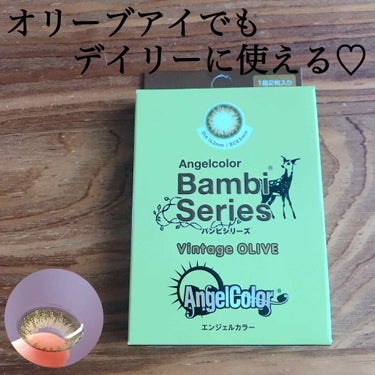 Angelcolor Bambi Series Vintage 1day/AngelColor/ワンデー（１DAY）カラコンを使ったクチコミ（1枚目）