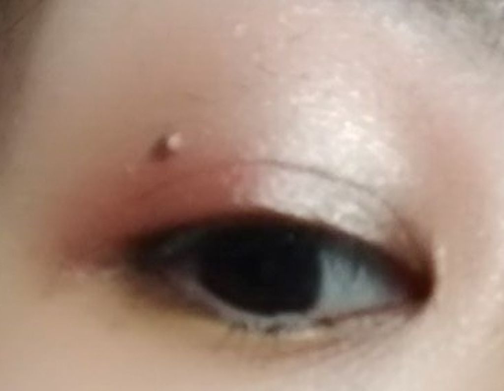 チョコレート ピンク ラブ アイシャドウ/HOJO/アイシャドウパレットを使ったクチコミ（3枚目）