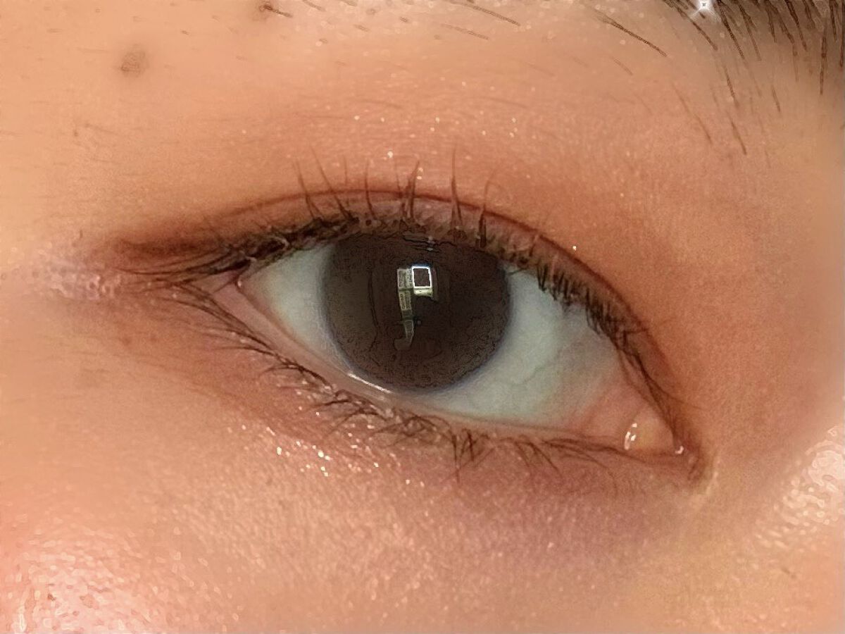 シルキースフレアイズ（マットタイプ）/キャンメイク/アイシャドウパレットを使ったクチコミ（2枚目）