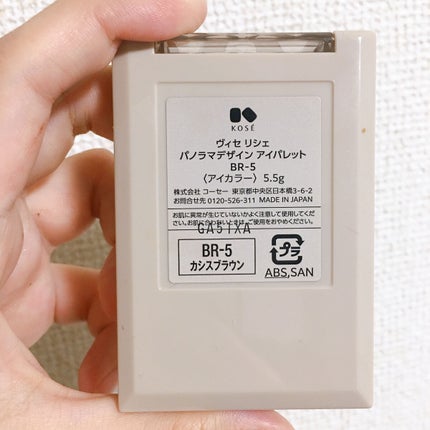 パノラマデザイン アイパレット/Visée/アイシャドウパレットを使ったクチコミ(7枚目)