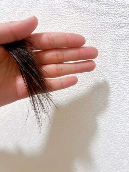 リカバリー オイルエッセンス/treecell/アウトバストリートメントを使ったクチコミ(3枚目)