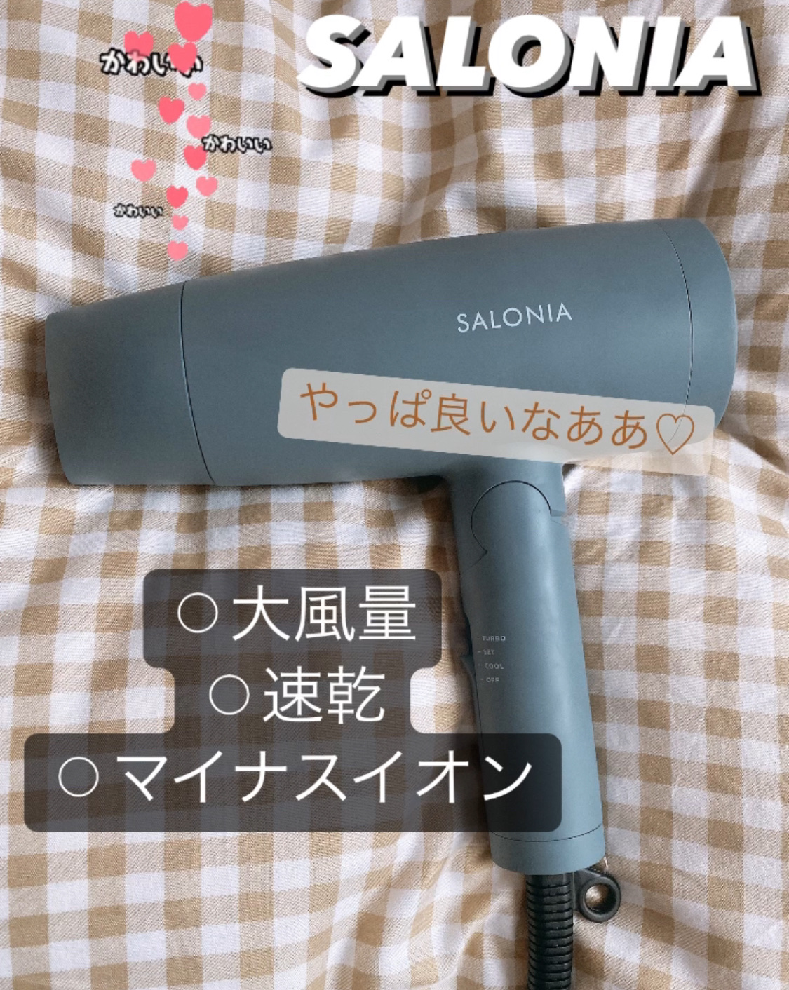 スピーディーイオンドライヤー グレー(WEB限定)/SALONIA/ドライヤーを使ったクチコミ（1枚目）