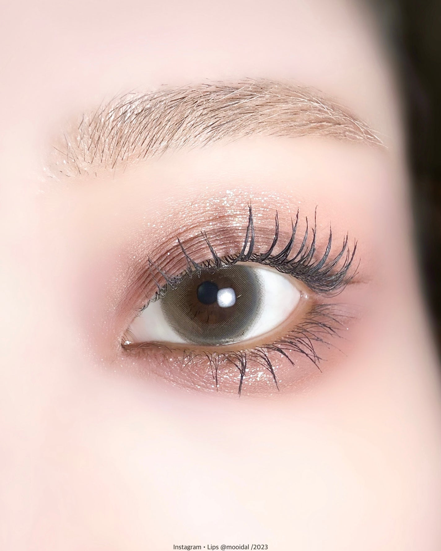 KEYBO FALL IN LOVE SHADOW PALETTE/keybo/アイシャドウパレットを使ったクチコミ(3枚目)