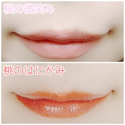 ネンマクフェイク ルージュ/Visée/口紅を使ったクチコミ(4枚目)