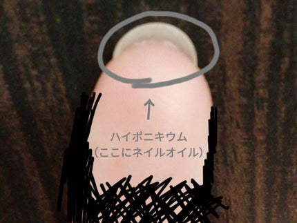 ãžã§ã«ããªã¥ãŒã ãããã³ãŒã/ãã£ã³ã¡ã€ã¯/ãã€ã«ãããã³ãŒãã䜿ã£ãã¯ãã³ãïŒ3æç®ïŒ