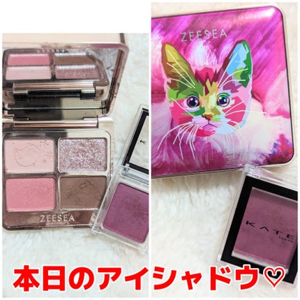 ケイト ザ アイカラー/KATE/単色アイシャドウを使ったクチコミ(1枚目)