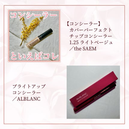 ノーセバム ミネラルパウダー N/innisfree/ルースパウダーを使ったクチコミ(3枚目)