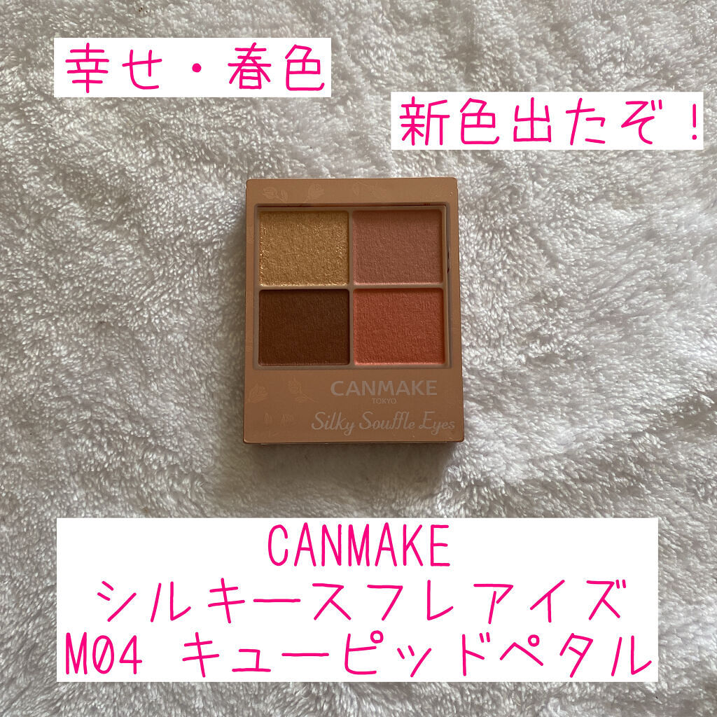 シルキースフレアイズ（マットタイプ）/キャンメイク/アイシャドウパレットを使ったクチコミ（1枚目）