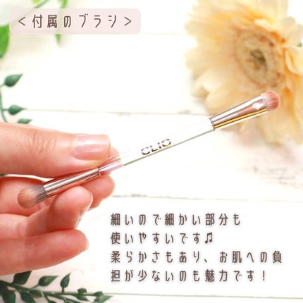 プロ アイ パレット/CLIO/アイシャドウパレットを使ったクチコミ(5枚目)