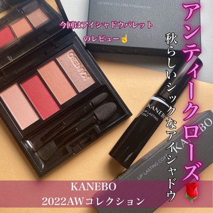 レイヤードカラーズアイシャドウ/KANEBO/アイシャドウパレットを使ったクチコミ(1枚目)