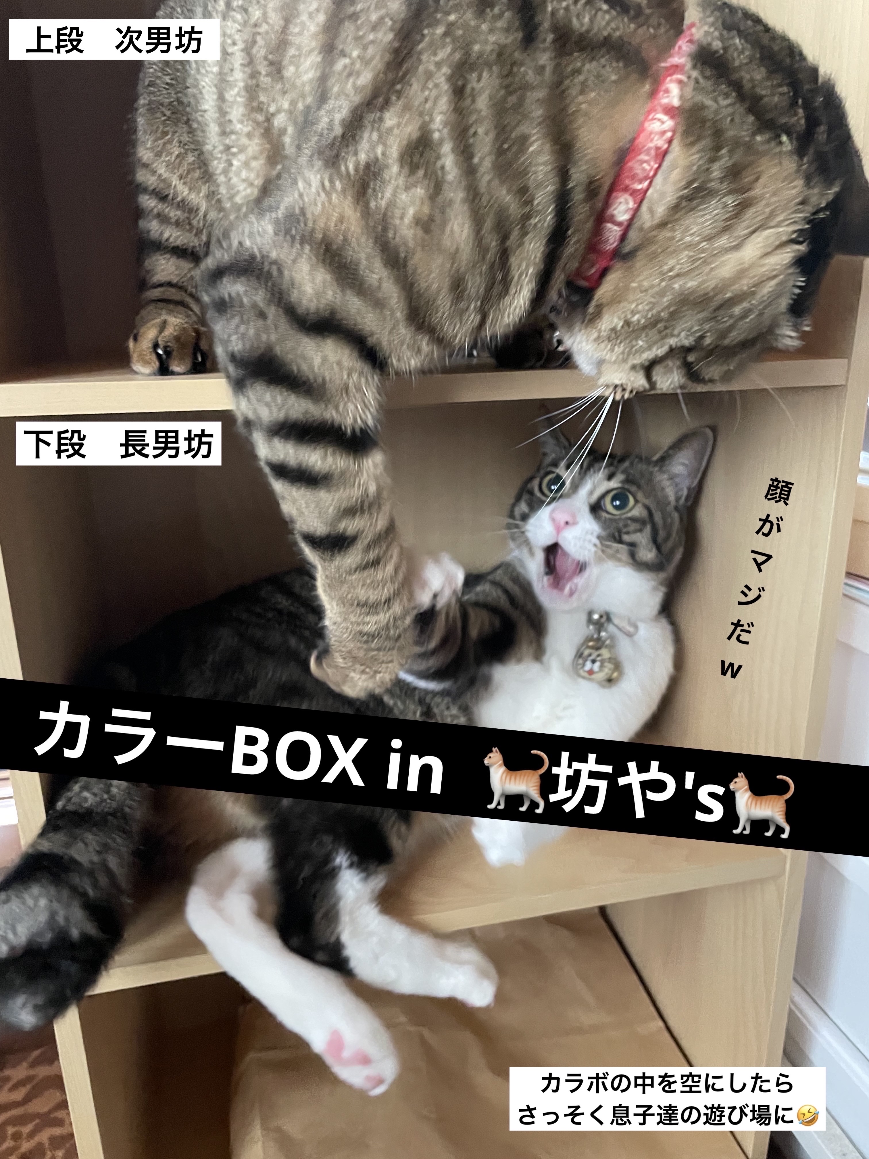 ミニュム バブリップ ジューシーティント 03 デートの日の 主役チェリー/minum/リップティントを使ったクチコミ（2枚目）