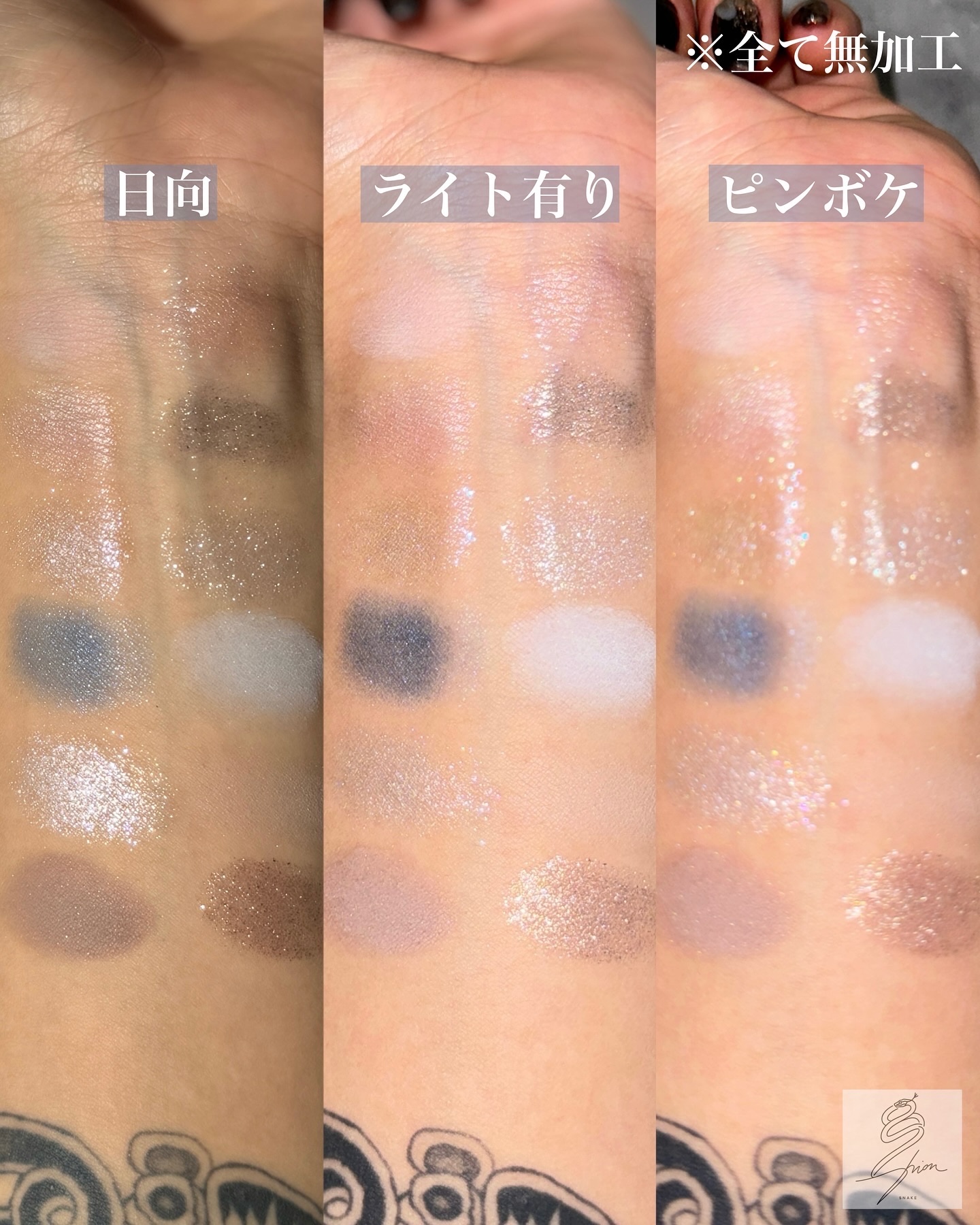 限定アイシャドウパレット】エクスプローラ12色 動物アイシャドウ