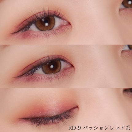グロッシーリッチ アイズ N/Visée/アイシャドウパレットを使ったクチコミ(3枚目)