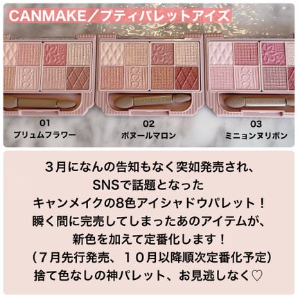 プティパレットアイズ/キャンメイク/パウダーアイシャドウを使ったクチコミ(2枚目)