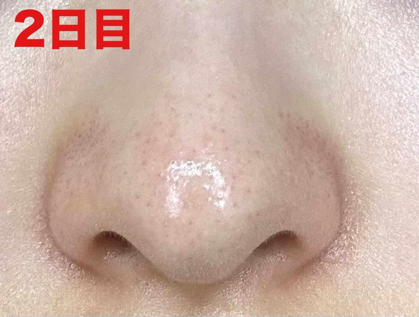 泥ジェル洗顔/ファンケル/その他洗顔料を使ったクチコミ(4枚目)