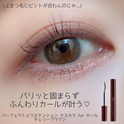 パーフェクトエクステンション マスカラ for カール/D-UP/マスカラを使ったクチコミ(6枚目)