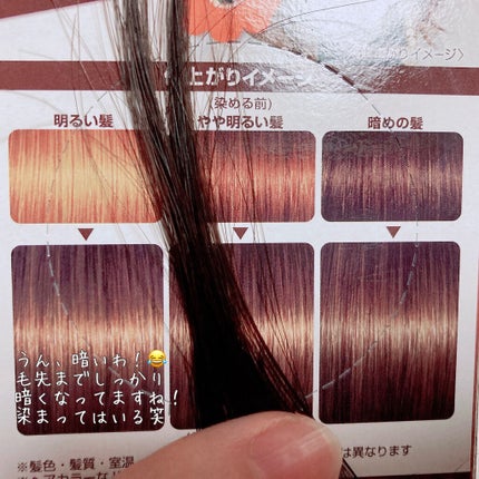 ぷぶり on LIPS 「泡カラー傷みすぎて泣きたくなるので、評判がいいこっちをお試し!..」(4枚目)