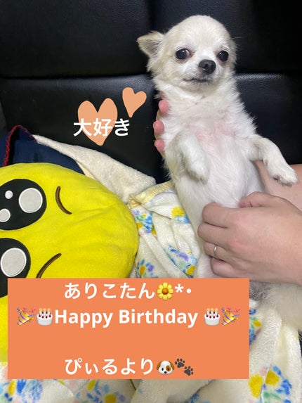 ディオール ヴェルニ/Dior/マニキュアを使ったクチコミ(6枚目)