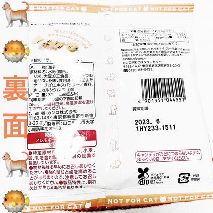 ニャンだかキニナル人間用⁉︎猫カリカリ おさかにゃキャラメリゼ味/カンロ/食品を使ったクチコミ(2枚目)