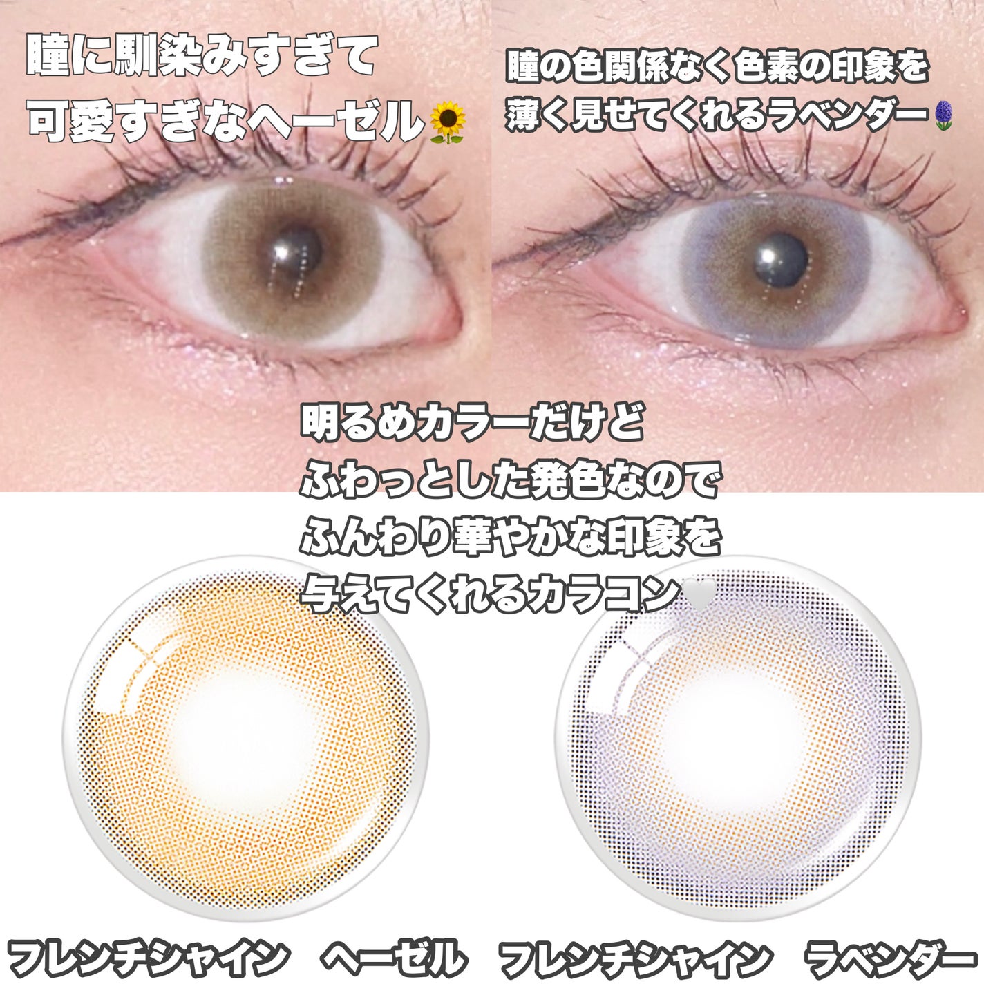 FrenchShine1day/OLENS/ワンデー(1DAY)カラコンを使ったクチコミ(3枚目)