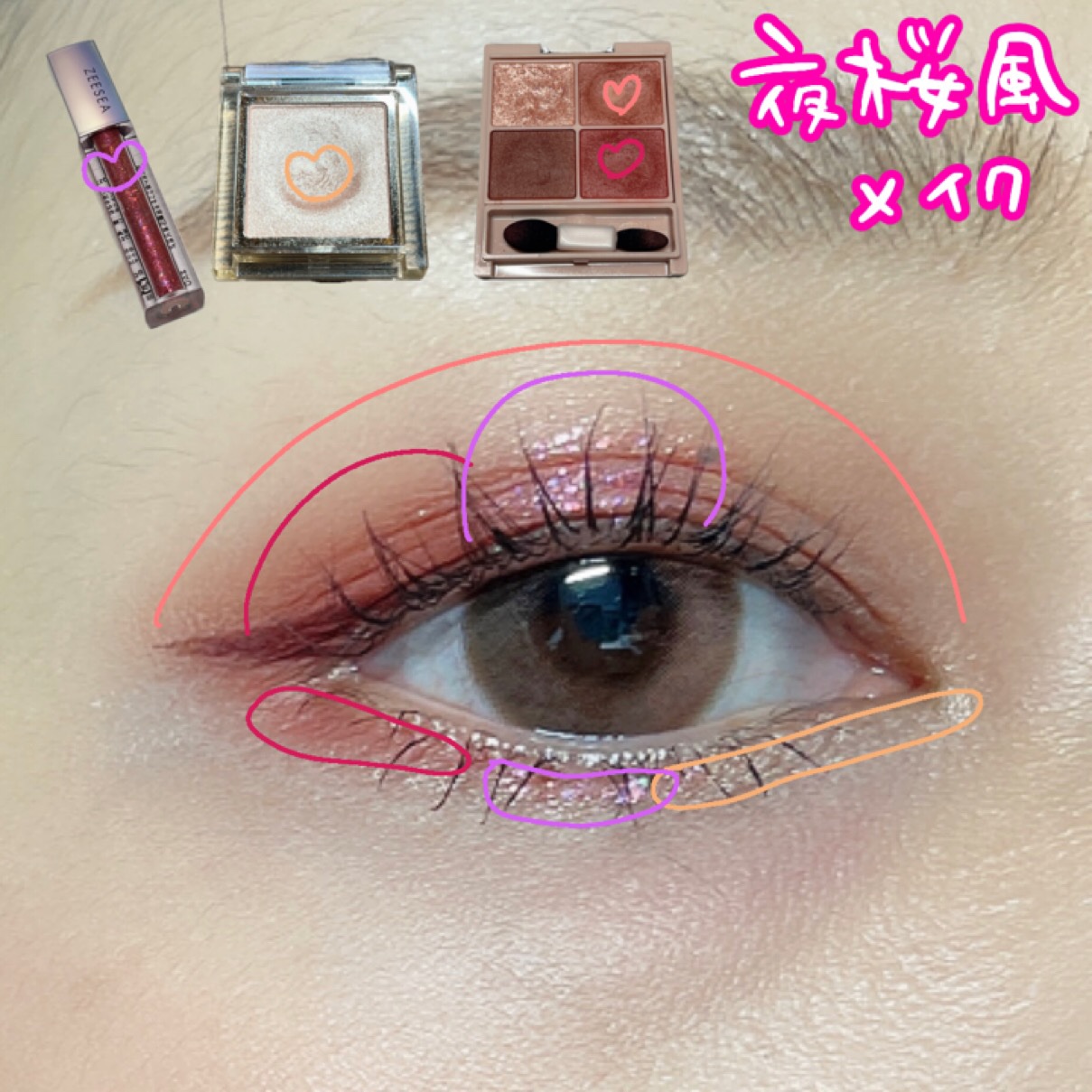 アイプランナー/excel/単色アイシャドウを使ったクチコミ（2枚目）