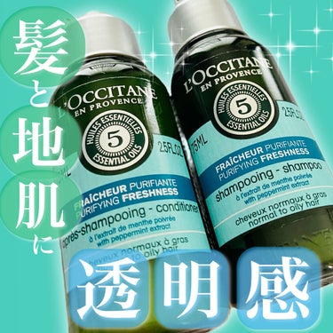 L'OCCITANE ファイブハーブス ピュアフレッシュネス シャンプー／コンディショナーのクチコミ「*･゜ﾟ･*:.｡..｡.:*･''･*:.｡. .｡.:*･゜ﾟ･*


　　L'OCCIT.....」（1枚目）