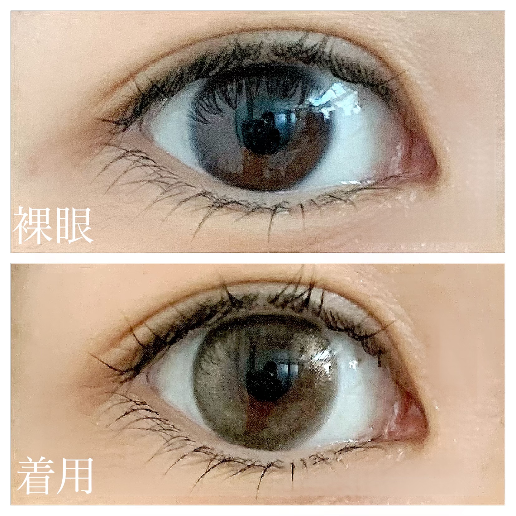 フェアリー ワンデー シマーリングシリーズ/FAIRY/ワンデー（１DAY）カラコンを使ったクチコミ（2枚目）