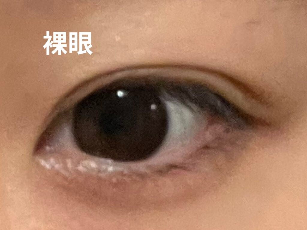 ReVIA 1day/ReVIA/ワンデー(1DAY)カラコンを使ったクチコミ(2枚目)