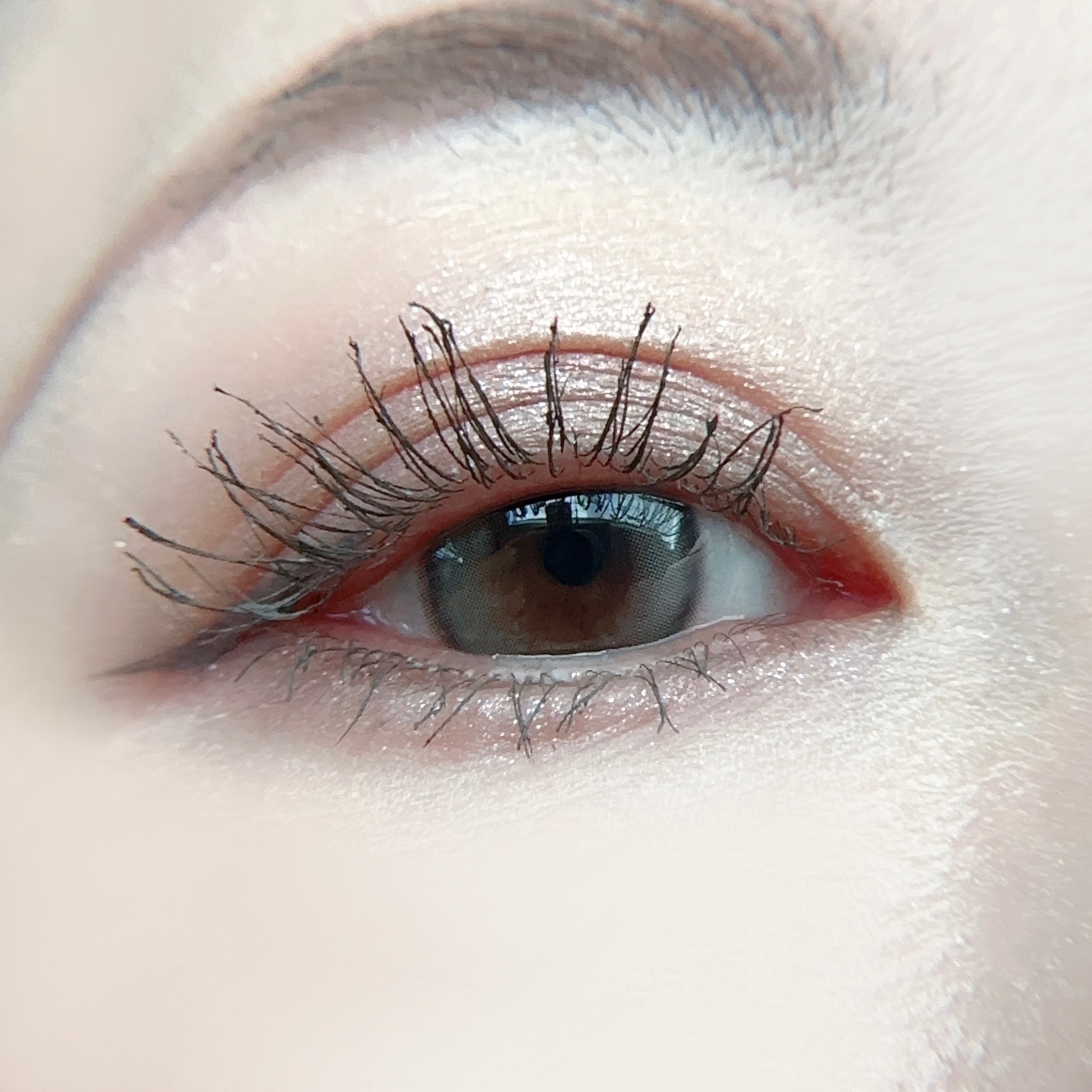 Double Tint 1day/OLENS/カラーコンタクトレンズを使ったクチコミ（3枚目）